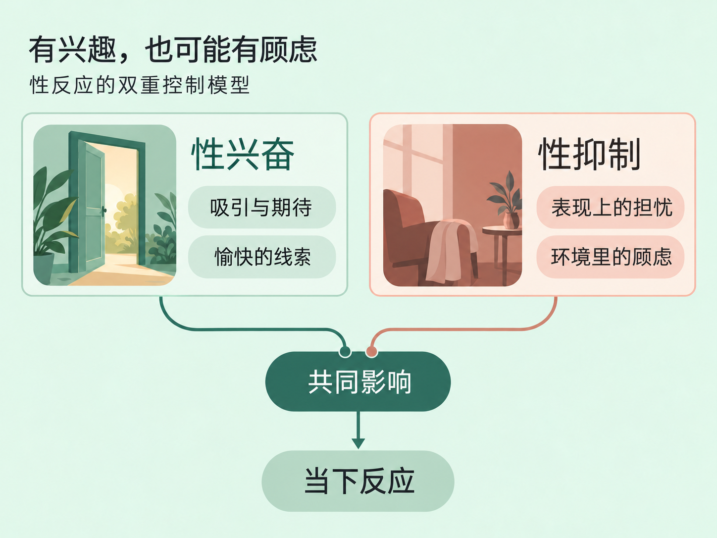性欲明明在，怎么一紧张就没感觉了？ 知识图解