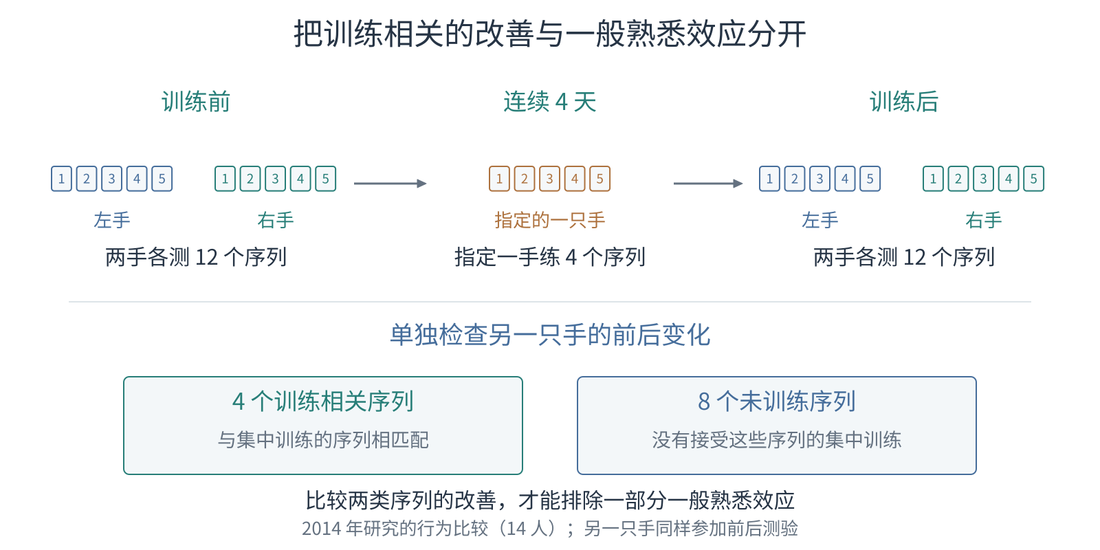 两只手都先测验,四天内仅指定的一只手训练,之后两手复测;另一手的训练相关与未训练序列分别用于比较改善。