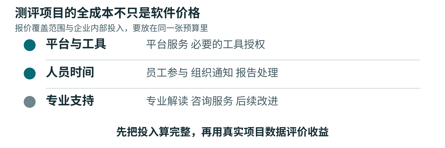 项目总成本包括平台与工具、参与与管理时间、专业服务与改进三类投入。