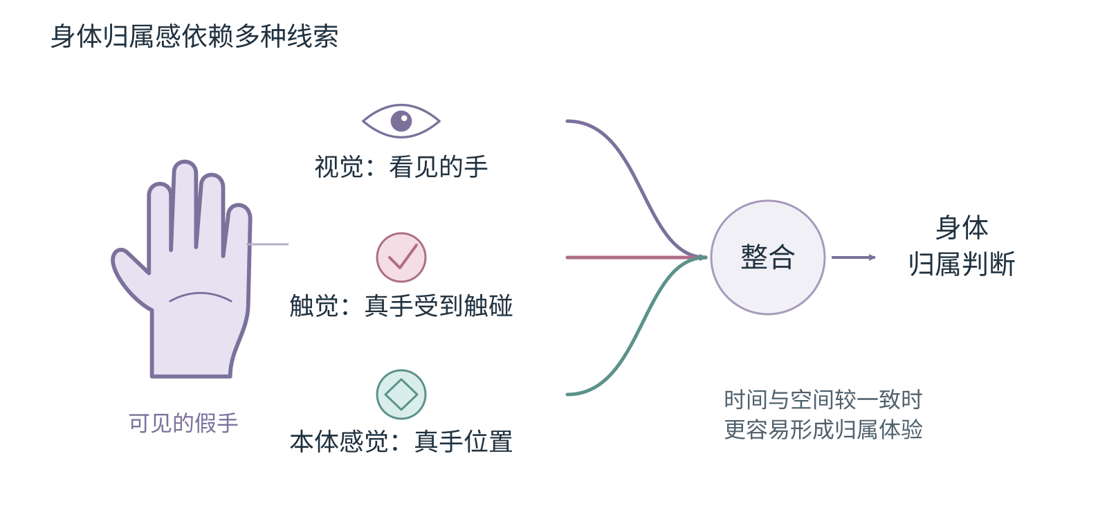 视觉、触觉、本体感觉与已有身体表征共同参与身体信息整合的概念图。