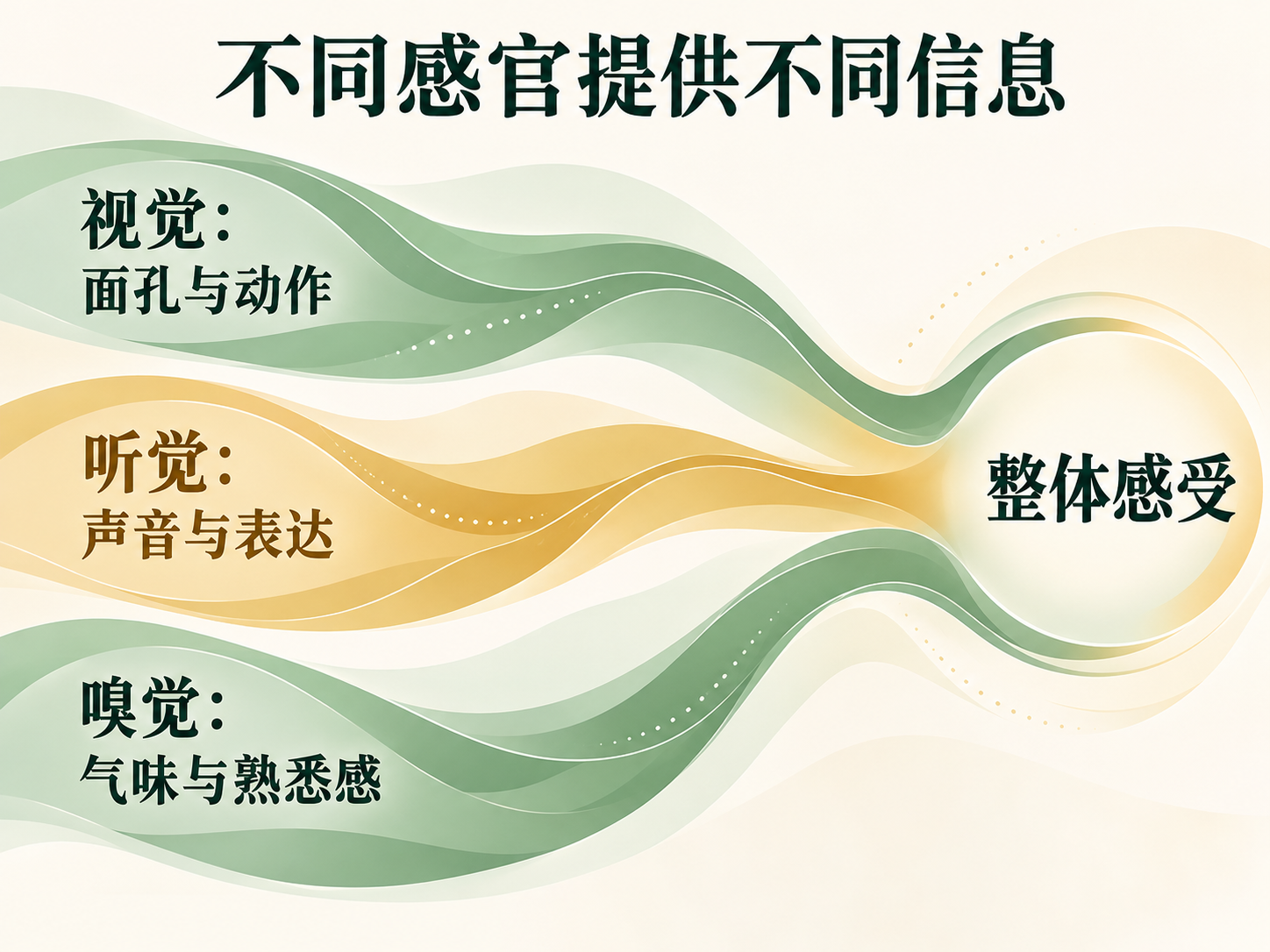 吸引来自多种感官信息