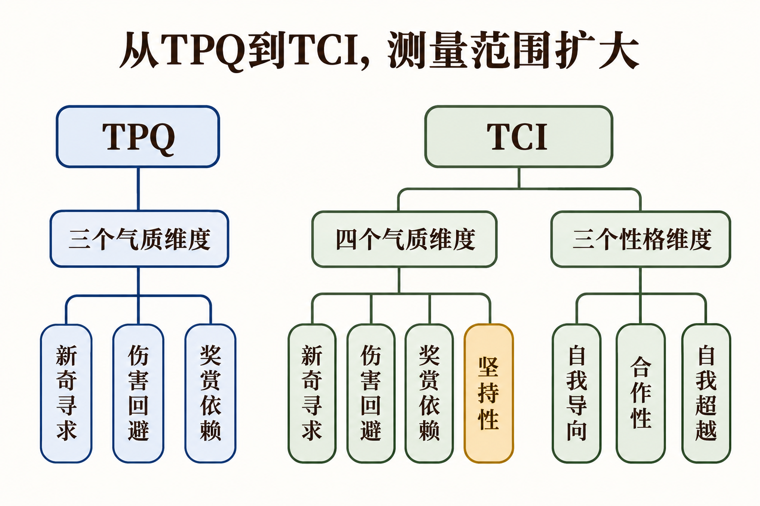 TPQ与TCI的测量结构