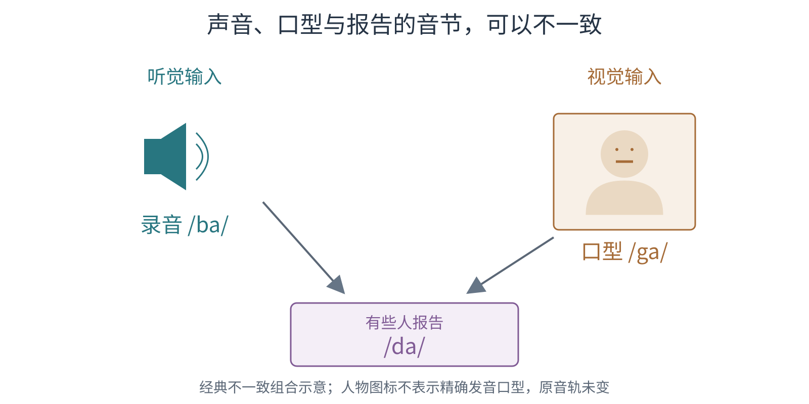 录音 ba 与画面口型 ga 共同影响音节判断，部分参与者报告 da；箭头表示知觉关系而非声波变化。