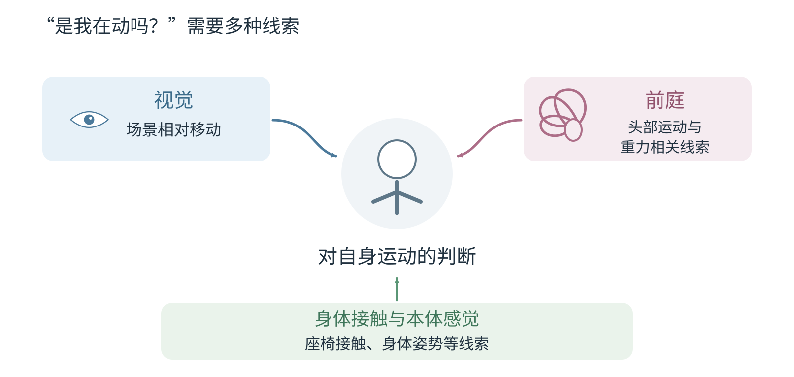 视觉、前庭、身体接触与本体感觉等信息,共同参与对自身运动的判断。