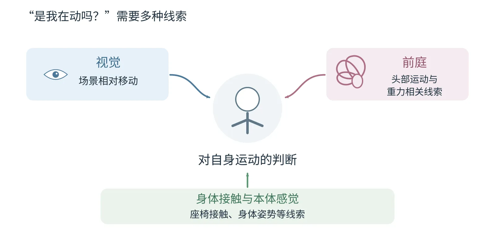 视觉、前庭、身体接触与本体感觉等信息,共同参与对自身运动的判断。