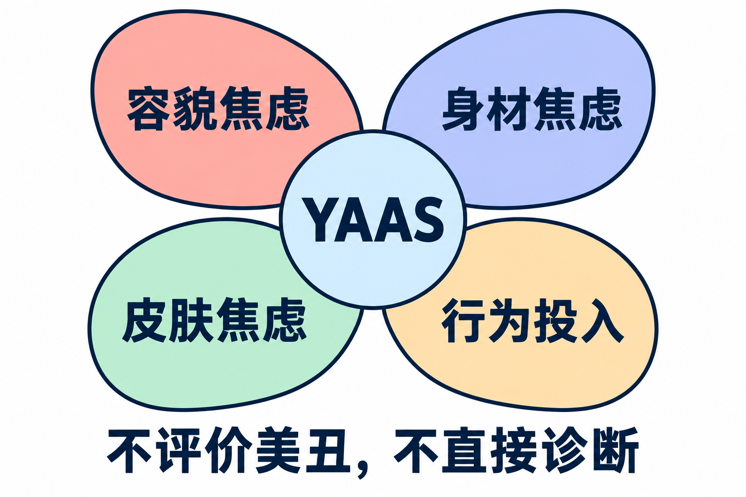 YAAS包括容貌焦虑、身材焦虑、皮肤焦虑和行为投入四个因子；不评价美丑，不直接诊断。