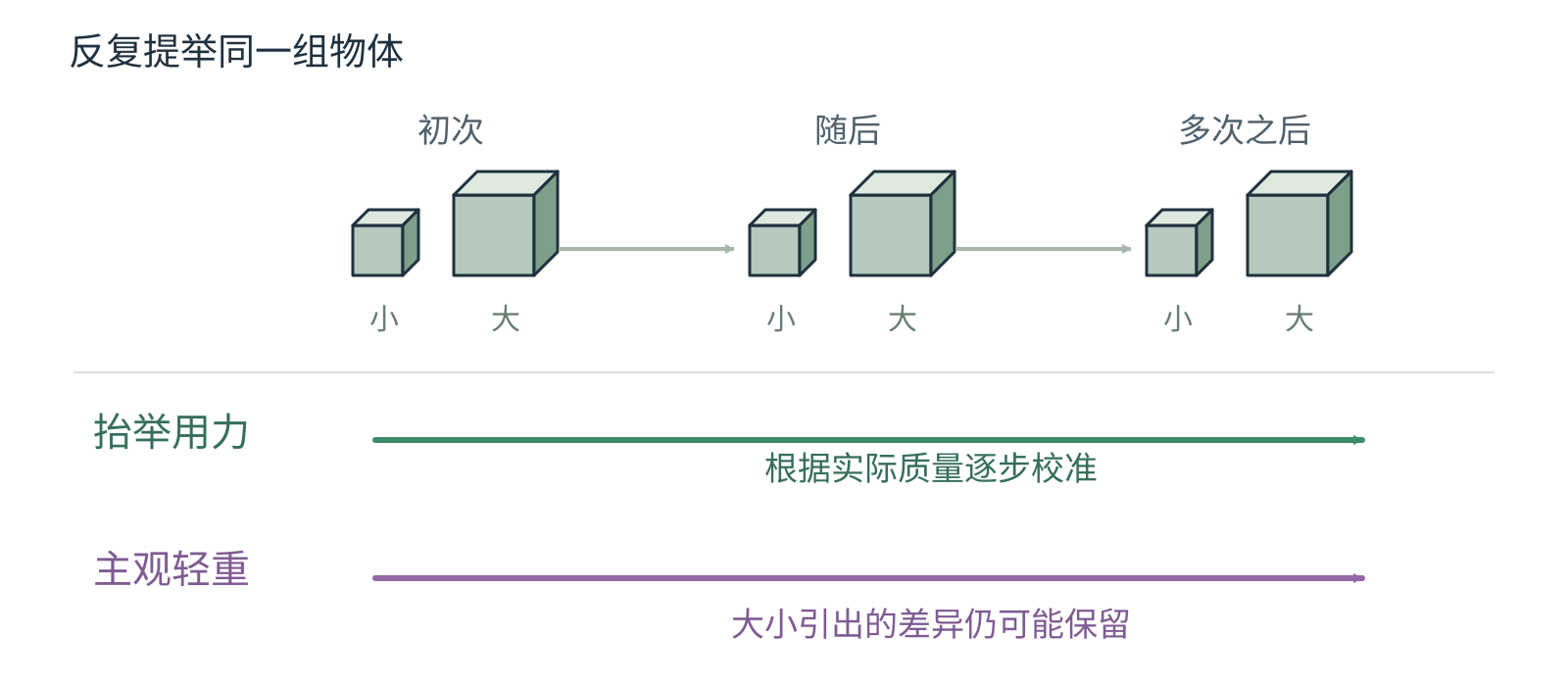 重复抬举后用力适应真实重量，而主观轻重差异仍可持续的双轨示意图。
