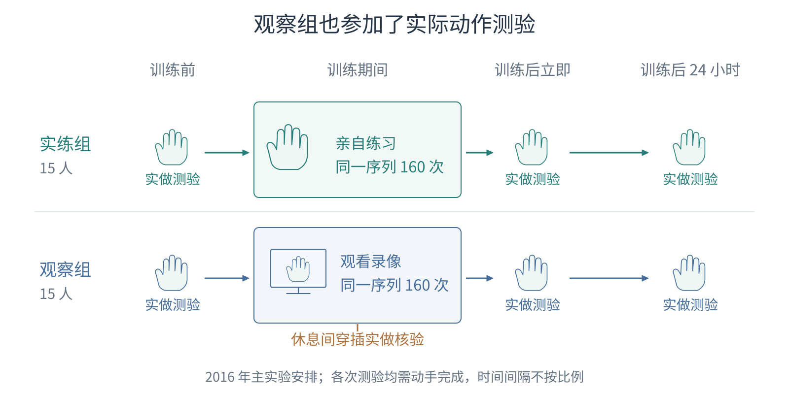 实练组与观察组都经过训练前、立即和24小时的实际动作测验;观察训练区另标休息间的实做核验。