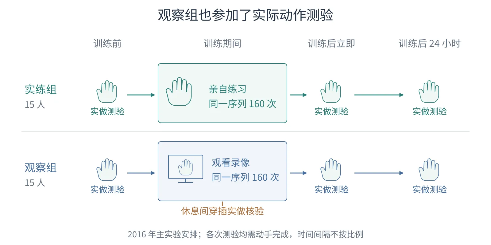 实练组与观察组都经过训练前、立即和24小时的实际动作测验;观察训练区另标休息间的实做核验。
