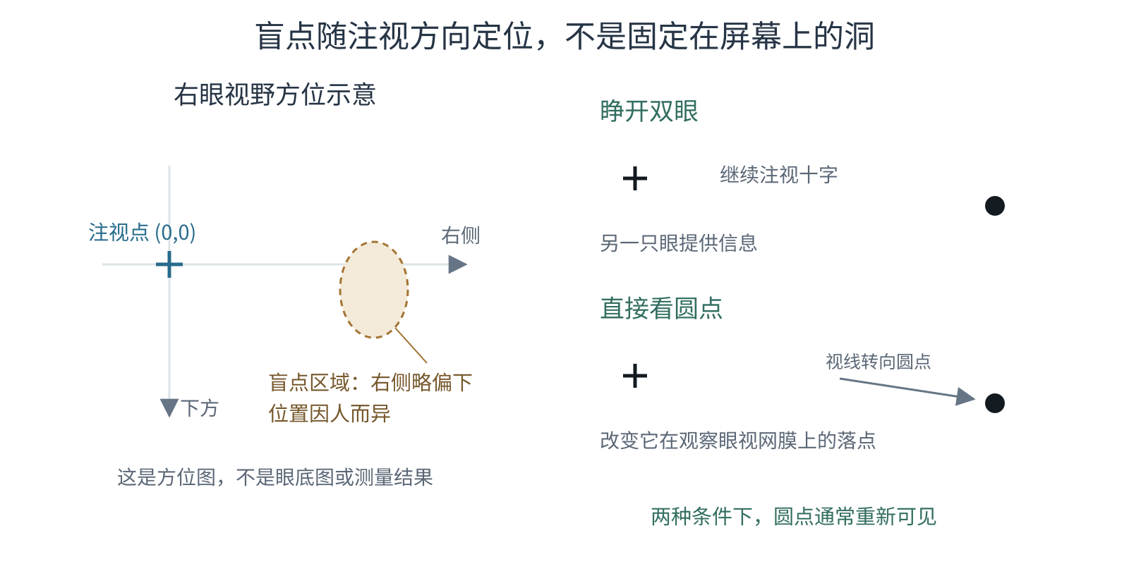 右眼视野示意把盲点标在注视点右侧略下方，另两格说明睁开双眼或直接注视圆点时，圆点通常重新可见。