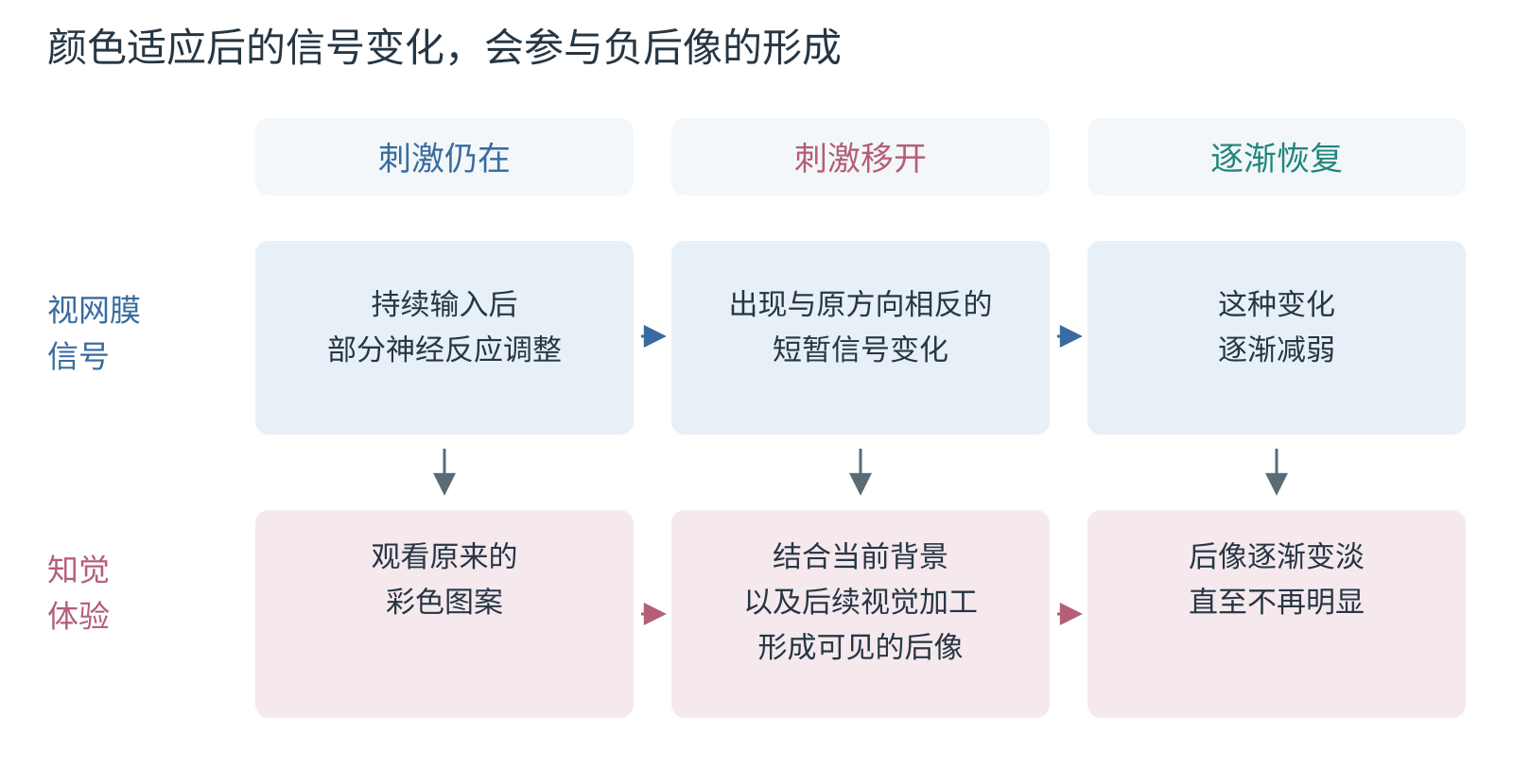 适应与反向信号随时间变化。原刺激持续时形成适应;刺激撤去后,反向信号可以暂时保留并逐渐减弱。视网膜信号仍会经过后续视觉加工。
